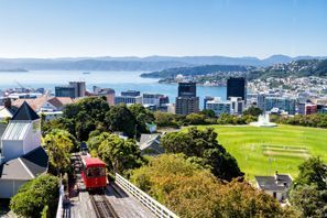 Ubytování Wellington, Nový Zéland