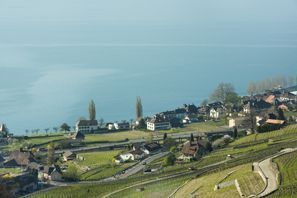 Ubytování Rothrist, Švýcarsko