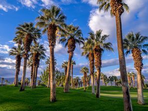 Ubytování Palm Desert, USA